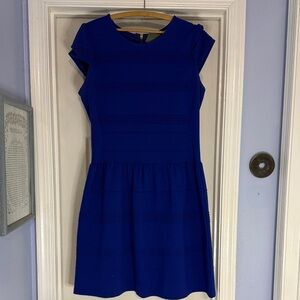Chic Royal Blue Mini Dress
